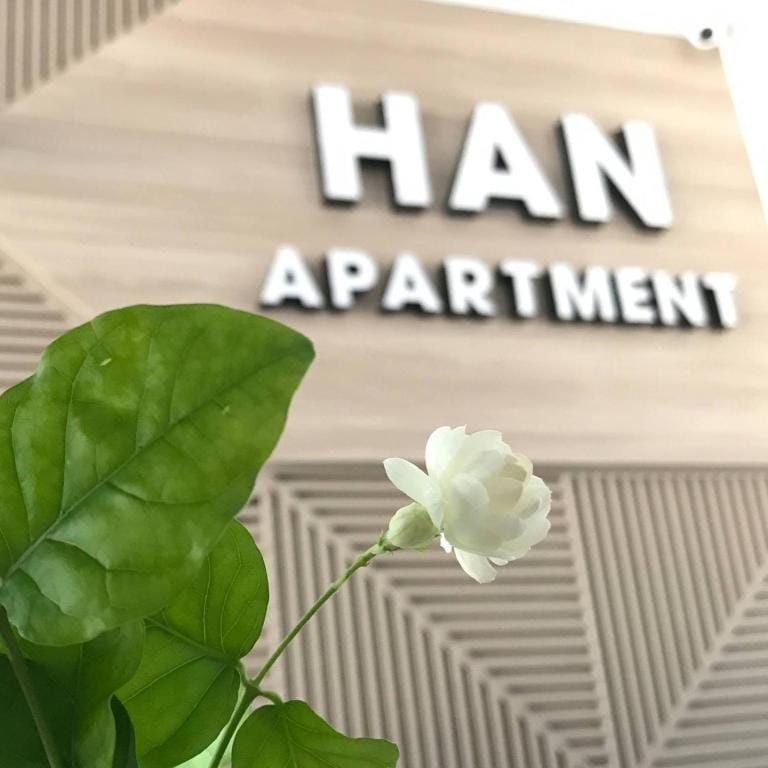 Han Apartment — 3